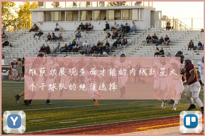 维萨尔展现多面才能的内线新星大个子球队的绝佳选择