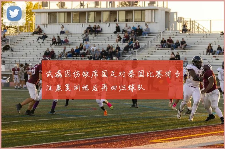 武磊因伤缺席国足对泰国比赛将专注康复训练后再回归球队